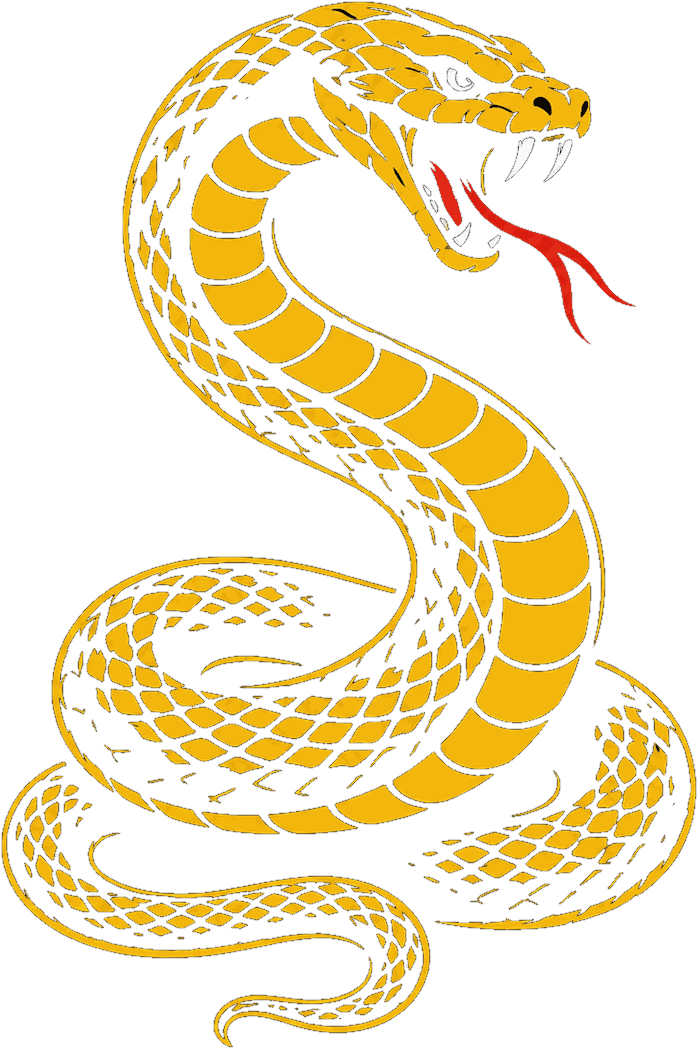 Ilustración de serpiente, uno de los tres animales del Shaolin Chan